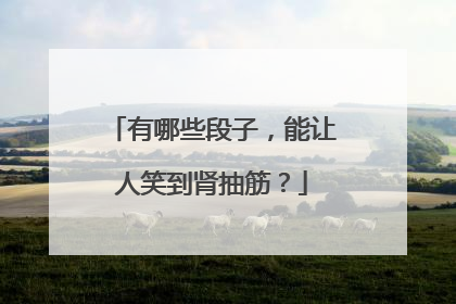 有哪些段子,能让人笑到肾抽筋?