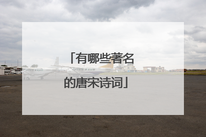 有哪些著名的唐宋诗词