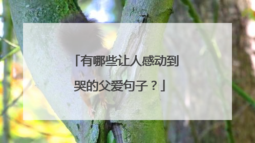 有哪些让人感动到哭的父爱句子?