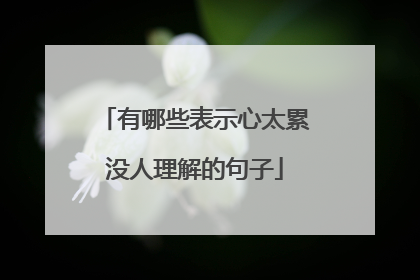 有哪些表示心太累没人理解的句子