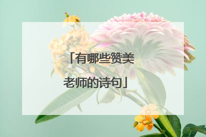 有哪些赞美老师的诗句