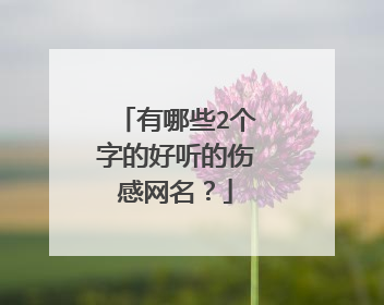 有哪些2个字的好听的伤感网名?