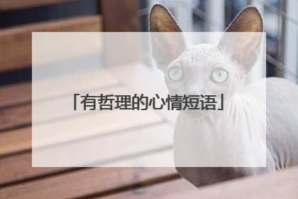 有哲理的心情短语