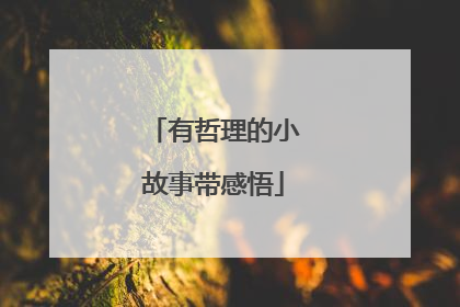 有哲理的小故事带感悟