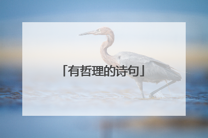 有哲理的诗句