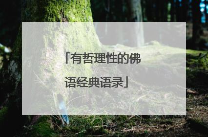 有哲理性的佛语经典语录
