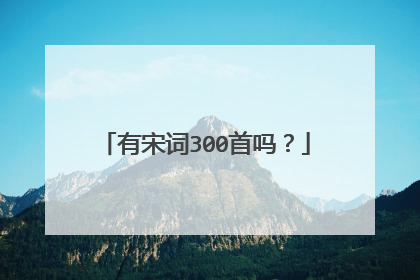 有宋词300首吗?