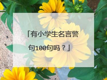 有小学生名言警句100句吗?