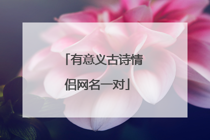 有意义古诗情侣网名一对