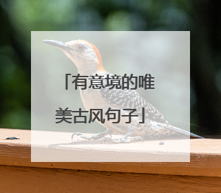 有意境的唯美古风句子