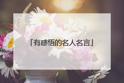 有感悟的名人名言
