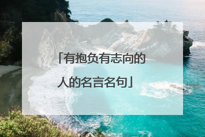 有抱负有志向的人的名言名句