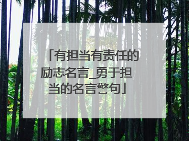 有担当有责任的励志名言_勇于担当的名言警句