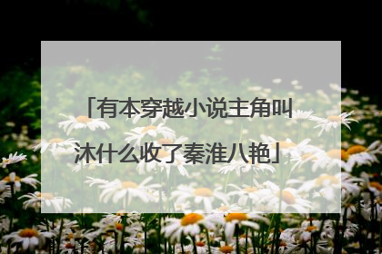 有本穿越小说主角叫沐什么收了秦淮八艳