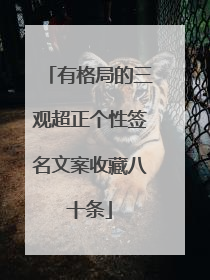 有格局的三观超正个性签名文案收藏八十条