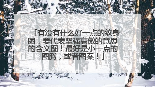 有没有什么好一点的纹身图,要代表坚强高傲的意思的含义图!最好是小一点的图腾,或者图案!