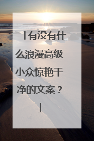 有没有什么浪漫高级小众惊艳干净的文案?
