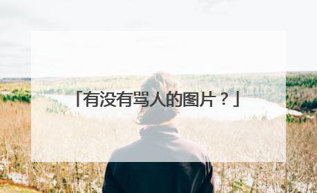 有没有骂人的图片?
