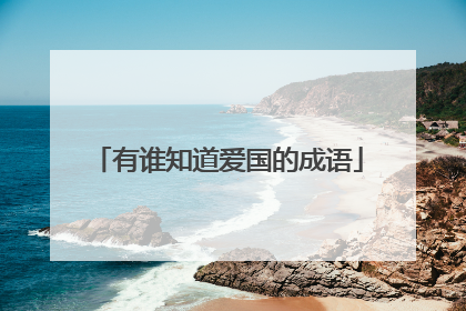 有谁知道爱国的成语