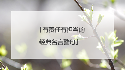 有责任有担当的经典名言警句