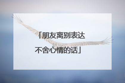 朋友离别表达不舍心情的话