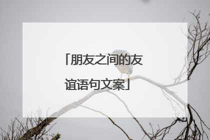 朋友之间的友谊语句文案