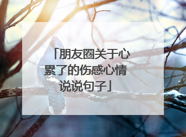 朋友圈关于心累了的伤感心情说说句子