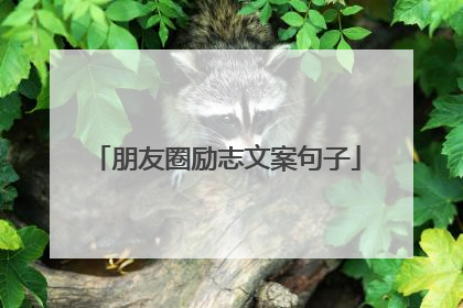 朋友圈励志文案句子