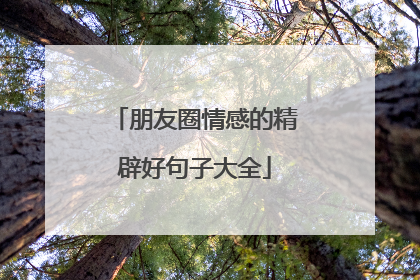 朋友圈情感的精辟好句子大全