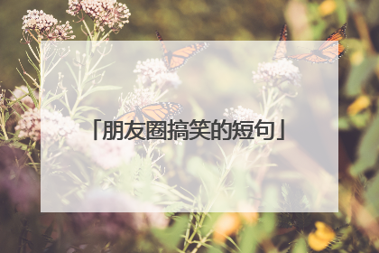 朋友圈搞笑的短句