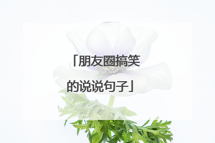 朋友圈搞笑的说说句子