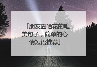 朋友圈晒花的唯美句子,简单的心情短语推荐