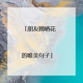 朋友圈晒花的唯美句子