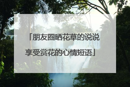 朋友圈晒花草的说说享受赏花的心情短语