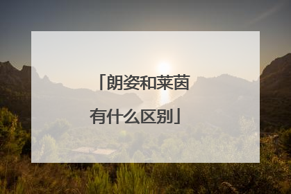 朗姿和莱茵有什么区别