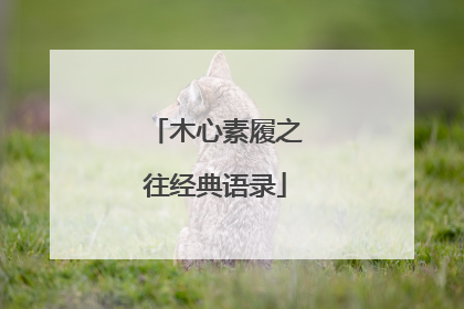 木心素履之往经典语录