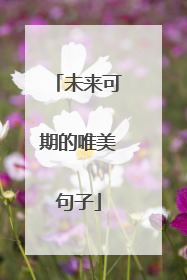 未来可期的唯美句子