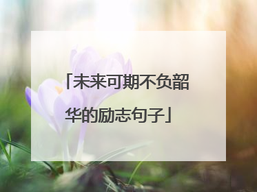 未来可期不负韶华的励志句子