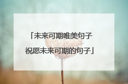 未来可期唯美句子 祝愿未来可期的句子