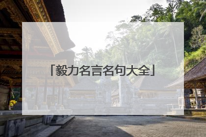 毅力名言名句大全