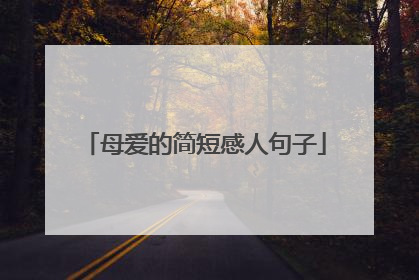 母爱的简短感人句子