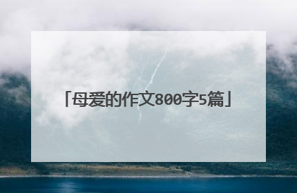 母爱的作文800字5篇