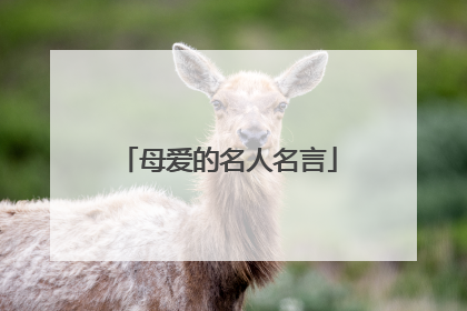 母爱的名人名言