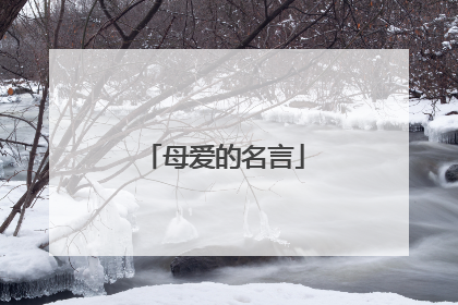 母爱的名言
