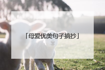 母爱优美句子摘抄