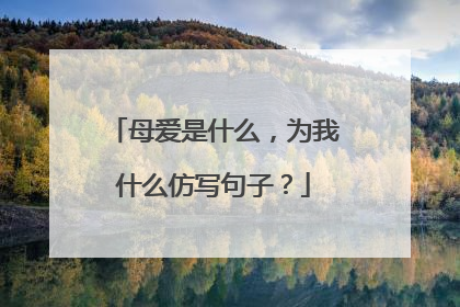 母爱是什么,为我什么仿写句子?