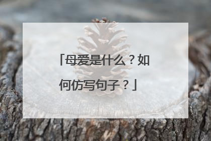 母爱是什么?如何仿写句子?