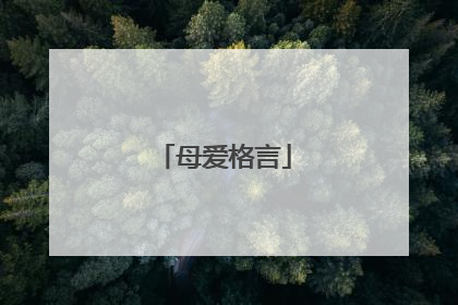 母爱格言