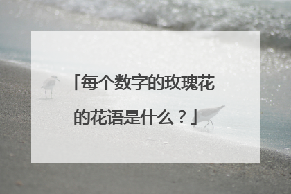 每个数字的玫瑰花的花语是什么?