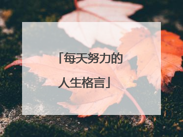 每天努力的人生格言